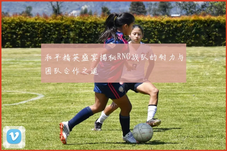 和平精英盛宴揭秘RNG战队的耐力与团队合作之道